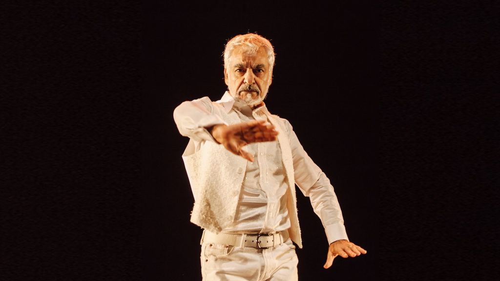 The Last Bull: A Life in Flamenco